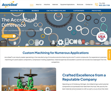 Web Design Portfolio Examples MI