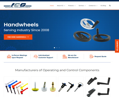 Web Design Portfolio Examples MI