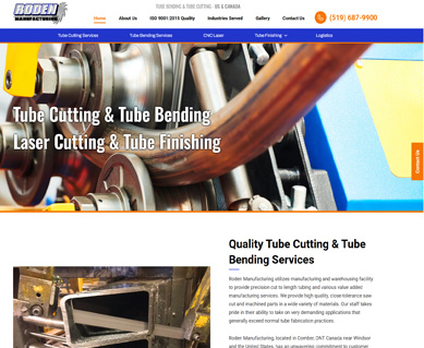 Web Design Portfolio Examples MI